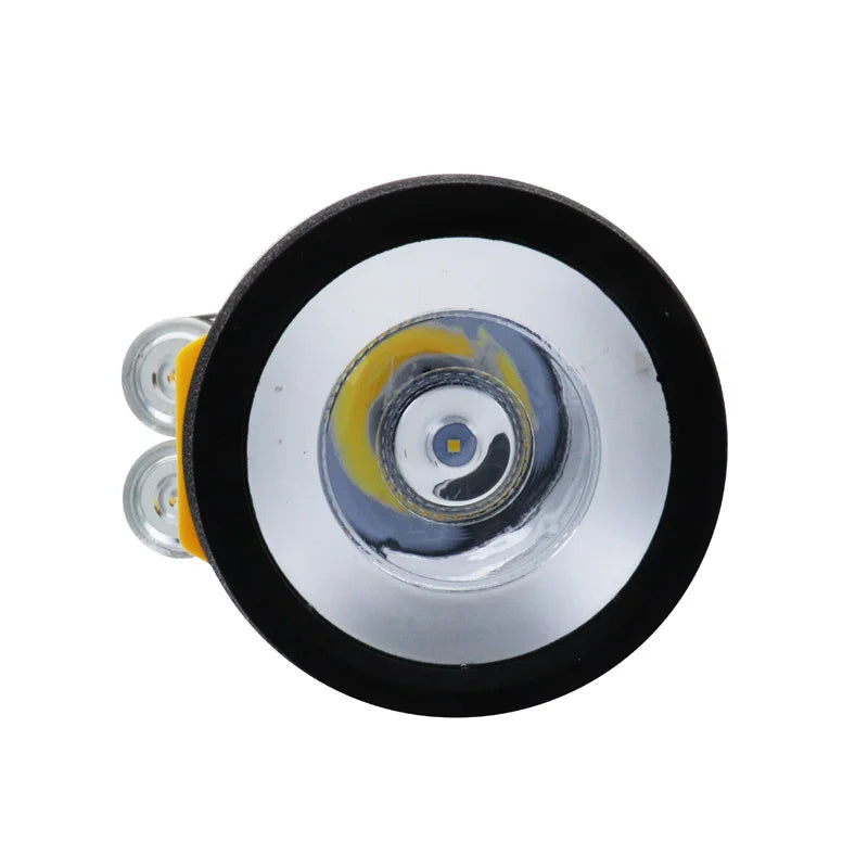 Eveready Lantern Led Flash Light with 2D Battery 1 Count image 1