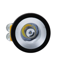 Eveready Lantern Led Flash Light with 2D Battery 1 Count image 1